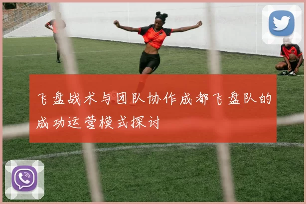 飞盘战术与团队协作成都飞盘队的成功运营模式探讨