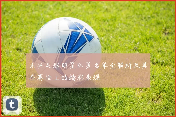 东兴足球明星队员名单全解析及其在赛场上的精彩表现