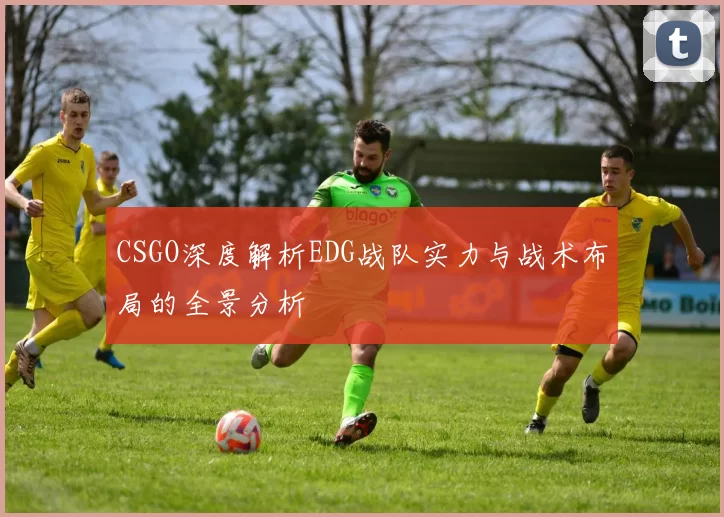 CSGO深度解析EDG战队实力与战术布局的全景分析