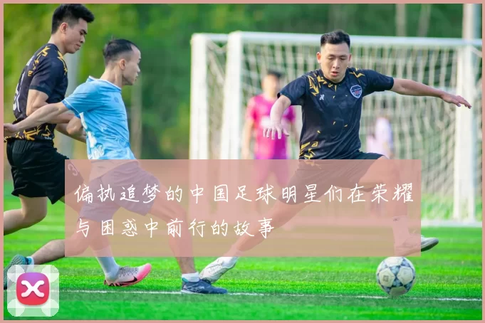 偏执追梦的中国足球明星们在荣耀与困惑中前行的故事