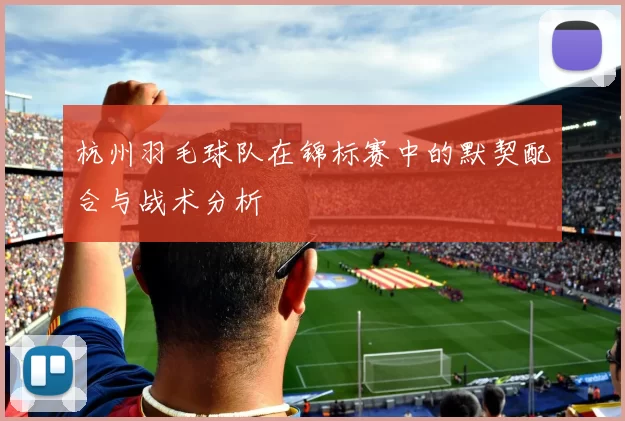 杭州羽毛球队在锦标赛中的默契配合与战术分析