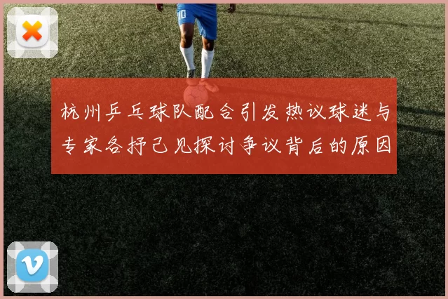 杭州乒乓球队配合引发热议球迷与专家各抒己见探讨争议背后的原因