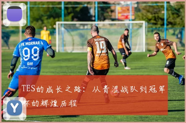 TES的成长之路：从青涩战队到冠军杯的辉煌历程