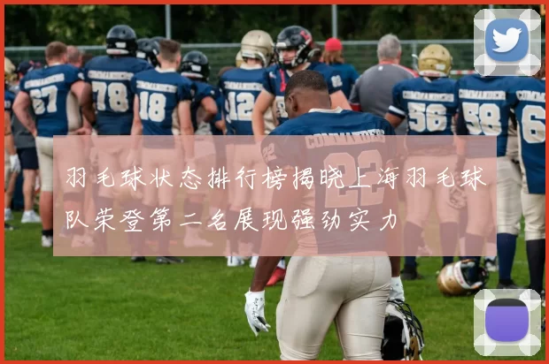 羽毛球状态排行榜揭晓上海羽毛球队荣登第二名展现强劲实力