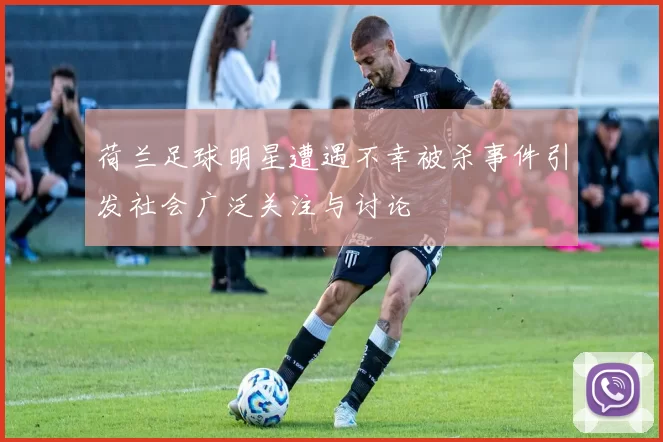 荷兰足球明星遭遇不幸被杀事件引发社会广泛关注与讨论