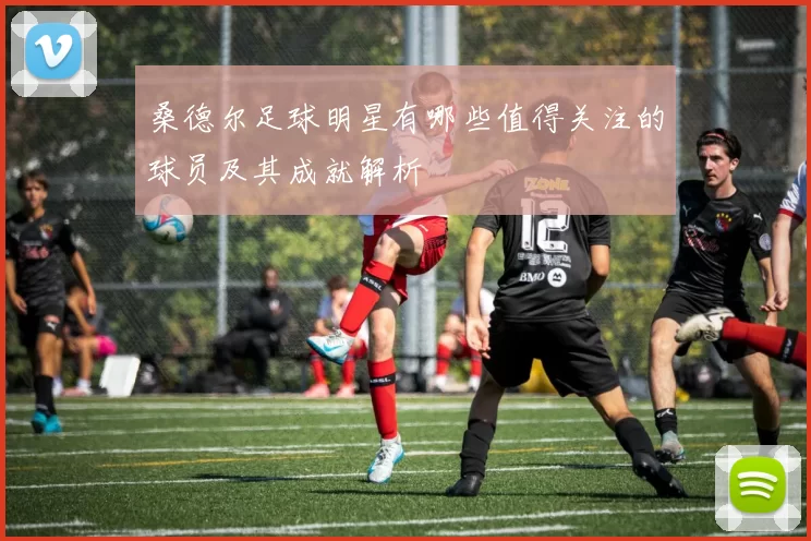 桑德尔足球明星有哪些值得关注的球员及其成就解析