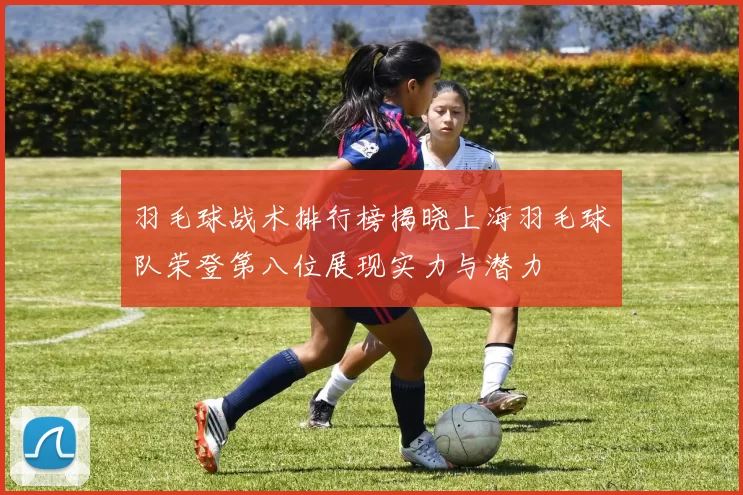 羽毛球战术排行榜揭晓上海羽毛球队荣登第八位展现实力与潜力