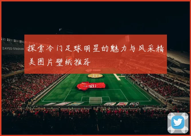 探索冷门足球明星的魅力与风采精美图片壁纸推荐