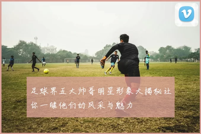 足球界五大帅哥明星形象大揭秘让你一睹他们的风采与魅力