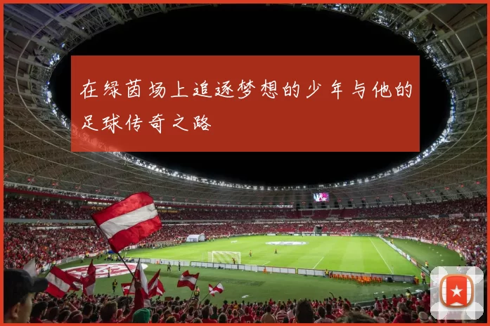 在绿茵场上追逐梦想的少年与他的足球传奇之路