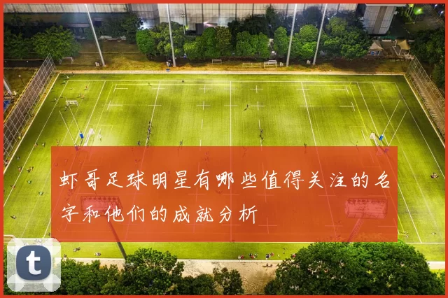 虾哥足球明星有哪些值得关注的名字和他们的成就分析