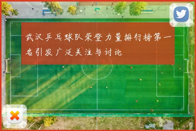 武汉乒乓球队荣登力量排行榜第一名引发广泛关注与讨论