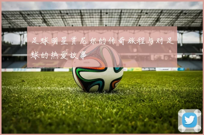 足球明星贾尼尔的传奇旅程与对足球的热爱故事