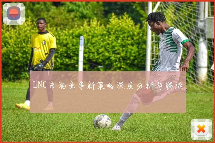 LNG市场竞争新策略深度分析与解读