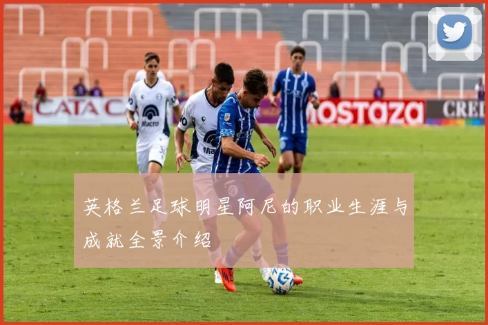 英格兰足球明星阿尼的职业生涯与成就全景介绍